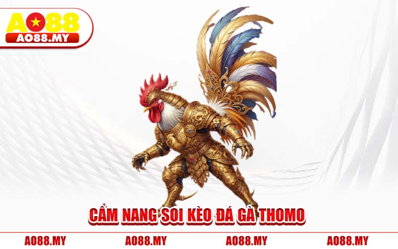 Cẩm Nang Soi Kèo Đá Gà Thomo 