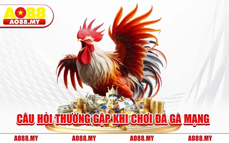 Câu Hỏi Thường Gặp Khi Chơi Đá Gà Mạng