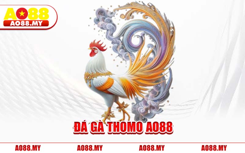 Đá Gà Thomo AO88