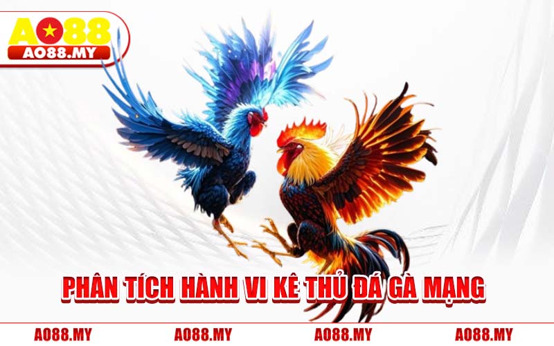 Phân Tích Hành Vi Kê Thủ Đá Gà Mạng