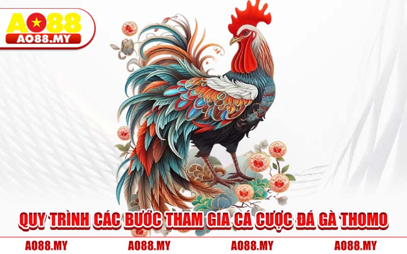 Quy Trình Các Bước Tham Gia Cá Cược Đá Gà Thomo
