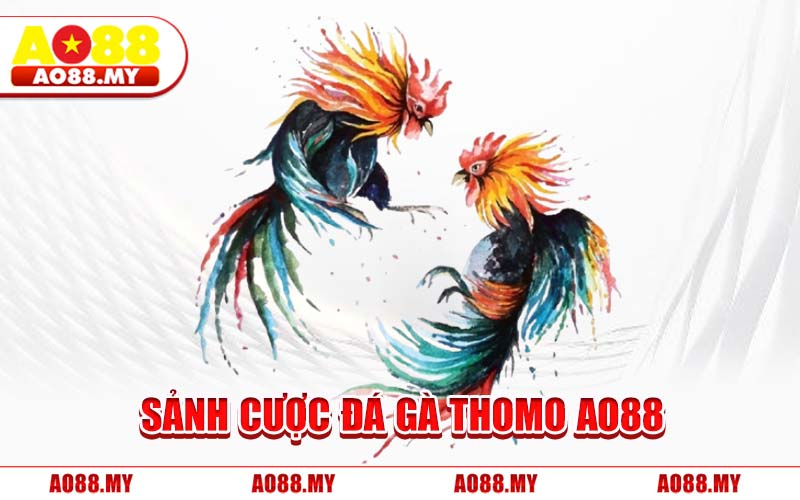 Sảnh Cược Đá Gà Thomo AO88